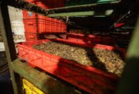 Instalasi pengolahan sampah mandiri di PVJ Mal yang mampu mereduksi volume limbah hingga 3-4 ton per hari melalui sistem maggotisasi terintegrasi