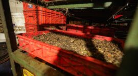 Instalasi pengolahan sampah mandiri di PVJ Mal yang mampu mereduksi volume limbah hingga 3-4 ton per hari melalui sistem maggotisasi terintegrasi