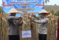 Panen raya jagung serentak kuartal II 2026 di wilayah Lampung Selatan yang dihadiri Kapolres Lamsel AKBP Toni Kasmiri bersama unsur Forkopimda, pejabat daerah, instansi terkait.