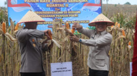 Panen raya jagung serentak kuartal II 2026 di wilayah Lampung Selatan yang dihadiri Kapolres Lamsel AKBP Toni Kasmiri bersama unsur Forkopimda, pejabat daerah, instansi terkait.