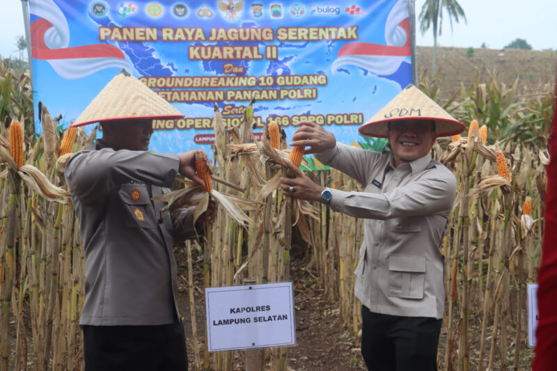 Panen raya jagung serentak kuartal II 2026 di wilayah Lampung Selatan yang dihadiri Kapolres Lamsel AKBP Toni Kasmiri bersama unsur Forkopimda, pejabat daerah, instansi terkait.