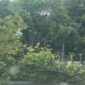 Perlindungan vegetasi di sepanjang jalan provinsi wilayah Kota Bandung kini diperketat guna menjaga kualitas udara dan estetika kota