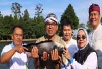Sekda Kabupaten Bogor Ajat Rochmat Jatnika menghadiri kegiatan Budaya Ngalokat Cai di Talaga Saat, Cisarua, Jumat (5/6), yang diisi berbagai aksi konservasi lingkungan seperti pelepasan ribuan ikan, pelepasliaran burung, penanaman pohon, dan pengukuhan Kampung Ramah Lingkungan.