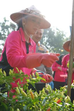 Dari Lahan Produktif ke Ketahanan Pangan, Kapolres Purwakarta Panen Sayur dan Ikan Bersama Bhayangkari