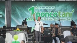 Riyono Caping Soroti 90 Ribu Ton Beras Tak Layak Konsumsi