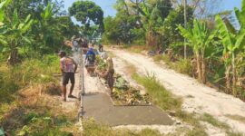 Warga Dusun Damar Jaya RW 09 Desa Legundi Kecamatan Ketapang perbaiki jalan kabupaten secara swadaya