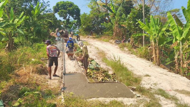 Warga Dusun Damar Jaya RW 09 Desa Legundi Kecamatan Ketapang perbaiki jalan kabupaten secara swadaya